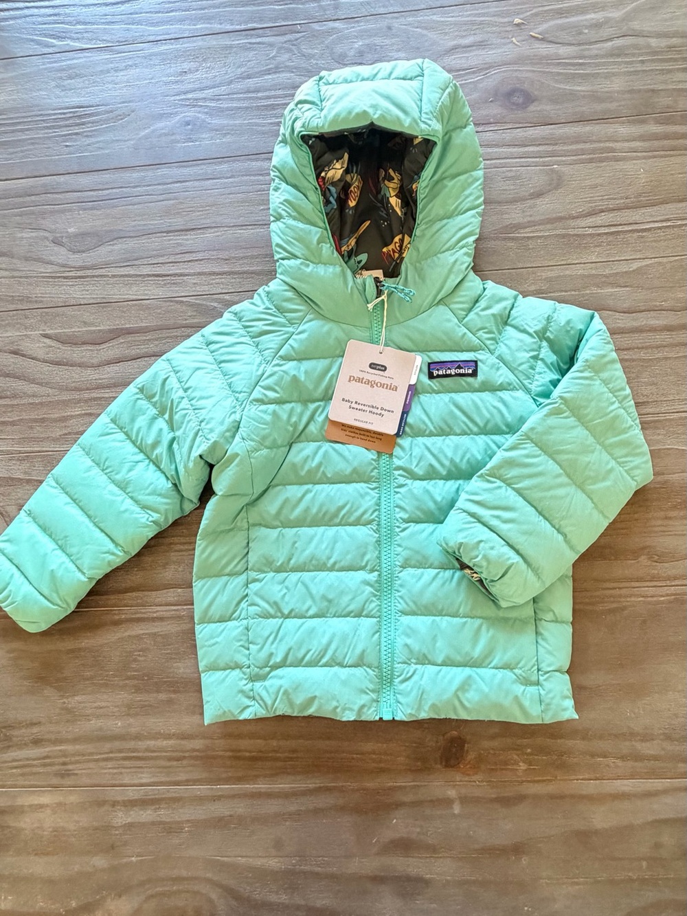 Patagonia Mint Green Hooded Puffer Jacket-baby reversible down sweater hoody